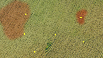 Pontos de amostragem