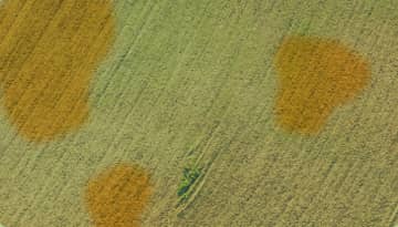 Mapa de aplicação localizada